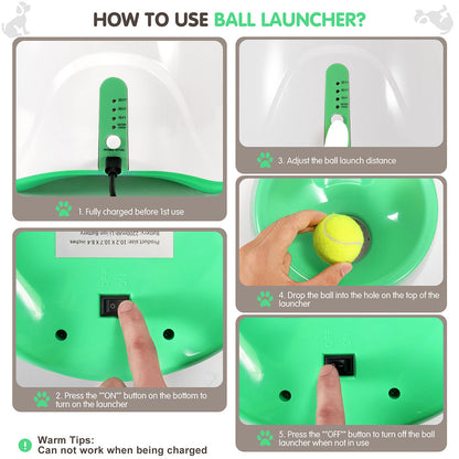 Automatic Pet Ball Launcher