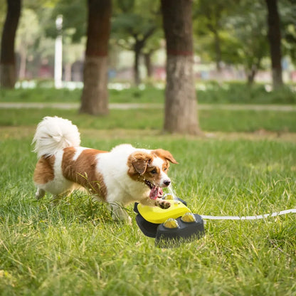 Automatic Outdoor Dog Water Fountain